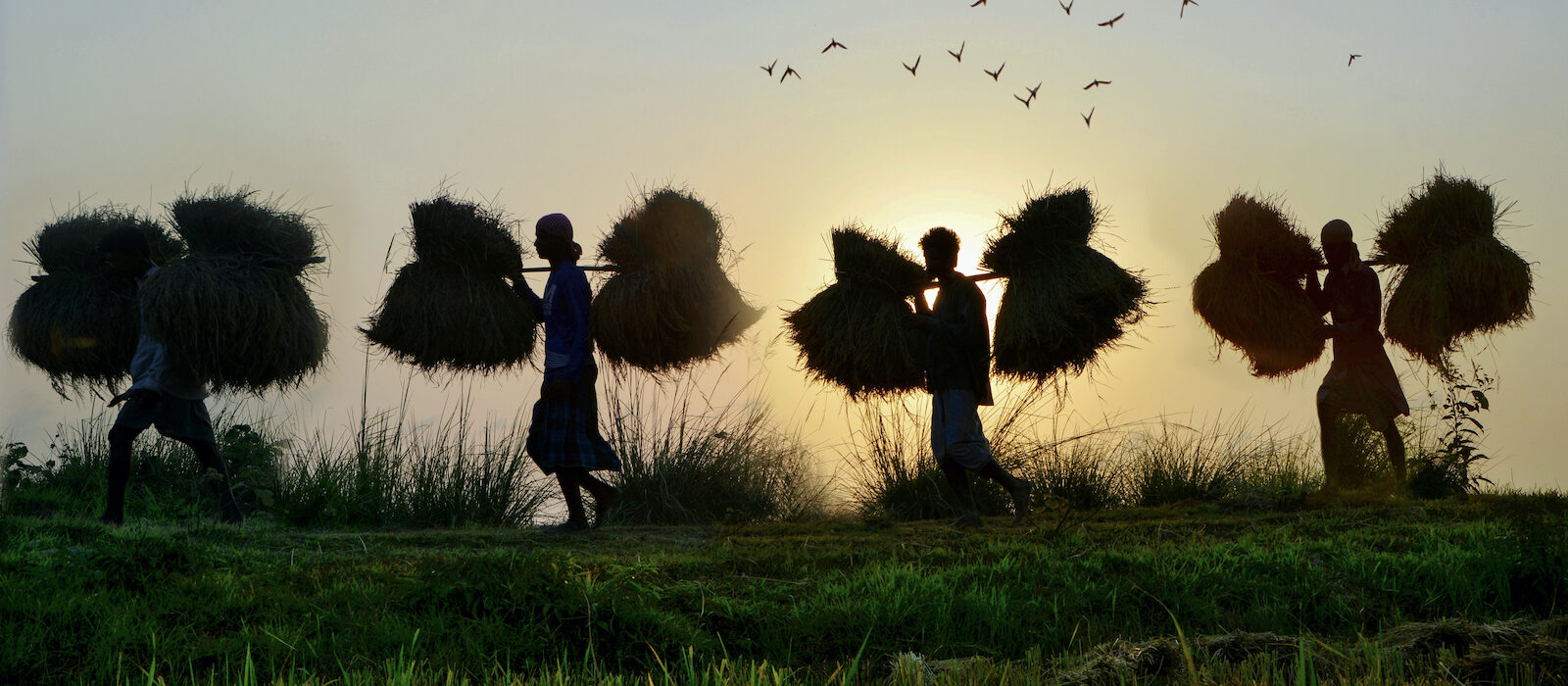 çiftçilere emeklilik ikramiyesi için kayıt sildirmeyin uyarısı