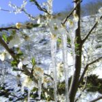 meteoroloji muğla, muğla kar yağışı, muğla meteoroloji kar, muğla kar uyarısı, muğla hava durumu