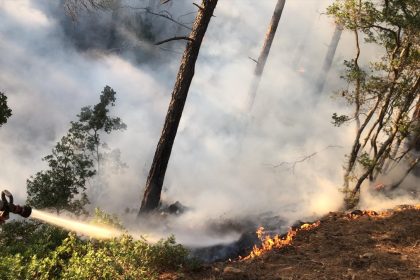 köyceğiz otmanlar orman yangını