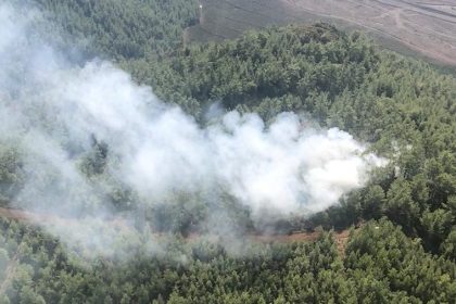 Köyceğiz orman yangını
