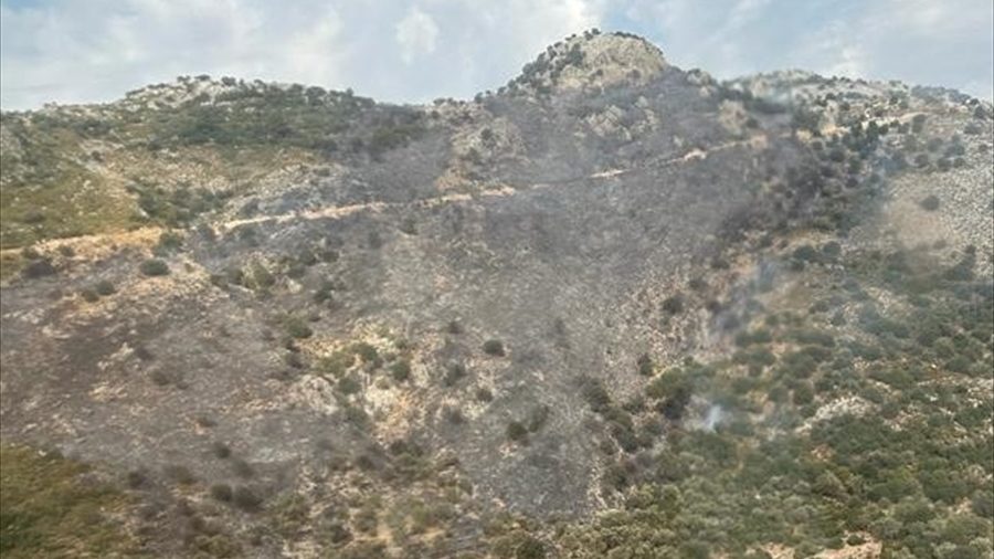 seydikemer'de yangın