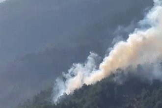 Köyceğiz'de orman yangını