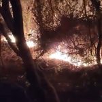 Marmaris orman yangını