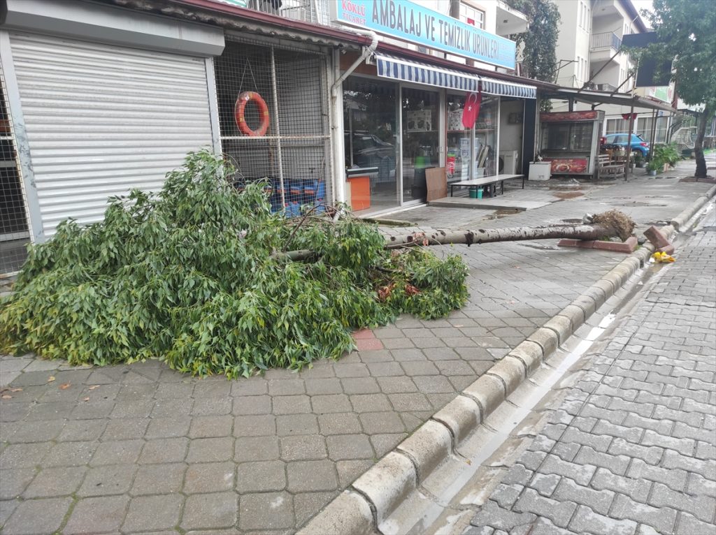 fethiye fırtına