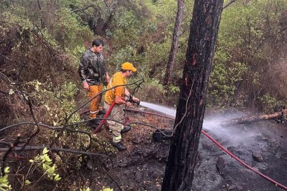marmaris orman yangını