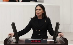 gizem özcan gizem özcan soru önergesi bodrum orman alanı