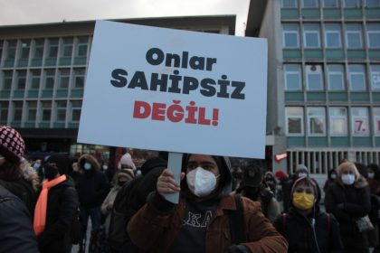 Bodrum’da zehirlenen köpekler