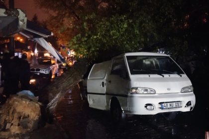 Menteşe ilçesinde aracın üzerine ağaç devrildi