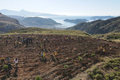 AB Türkiye Delegasyonu