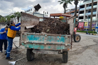 fırtına sonrası plaj temizliği