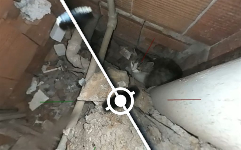 apartman boşluğuna düşen kedi