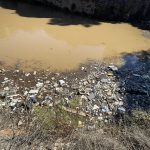 Bodrum’da derelere atılan çöpler Bitez plajına ve barajına vurdu