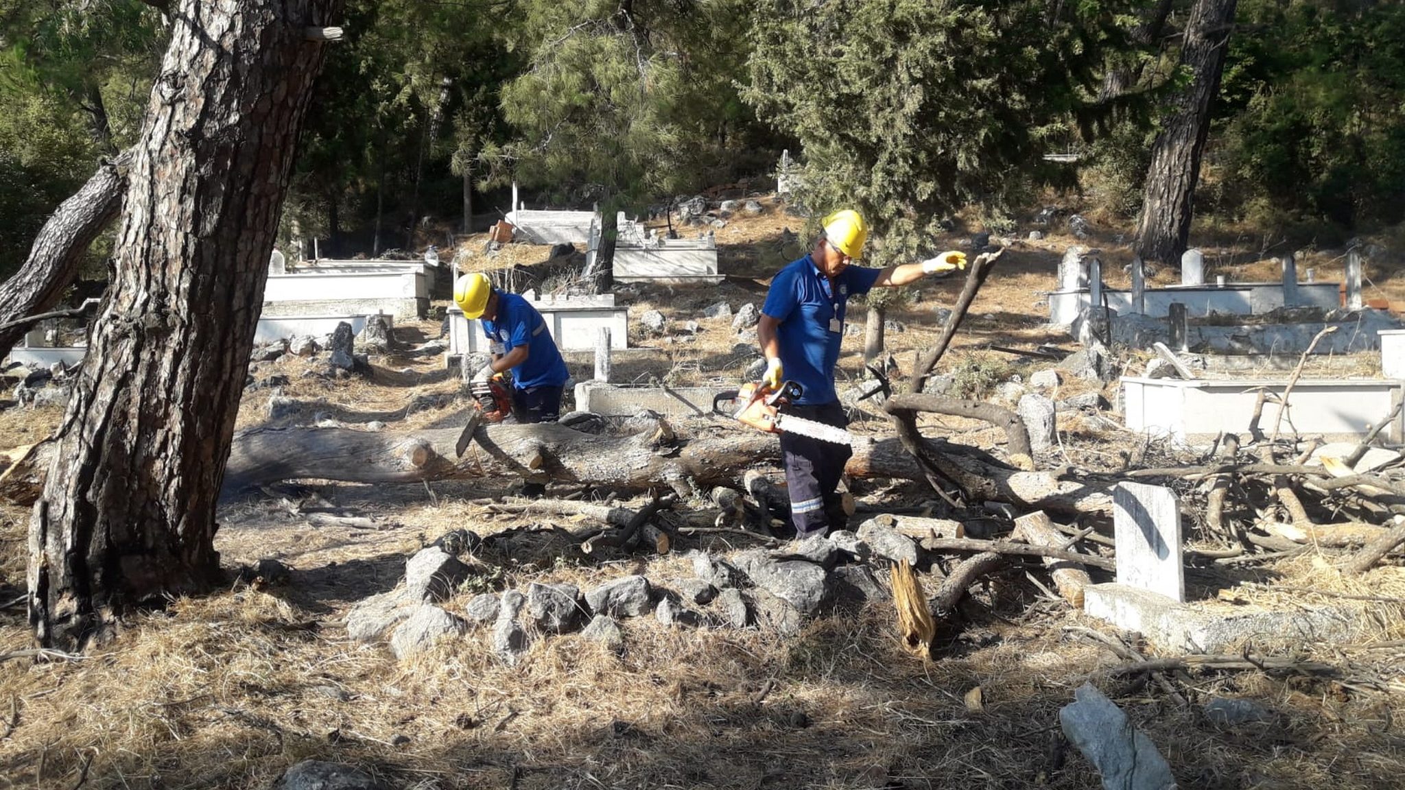 Muğla Büyükşehir Belediyesi Kara Kış Yardımı