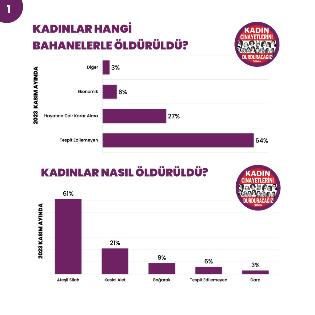 Kadın Cinayetleri Kasım 2023