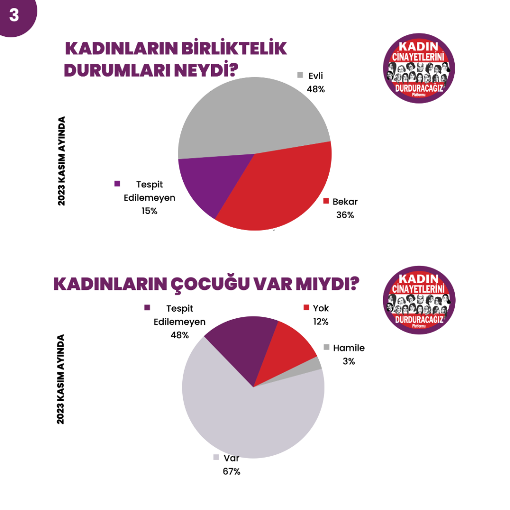 Kadın Cinayetleri Kasım 2023