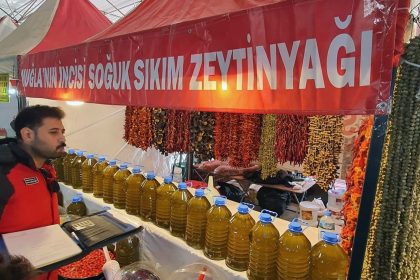 zeytin zeytinyağı işletmelerinde denetim