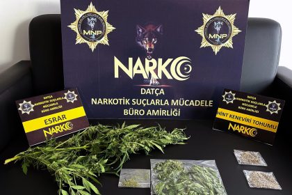 Muğla'da uyuşturucu operasyonlarında