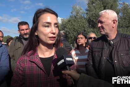 Tülay Hatimoğulları