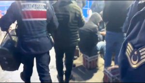 horoz dövüşü muğla Kümes Hayvanlarını Koruma Derneği