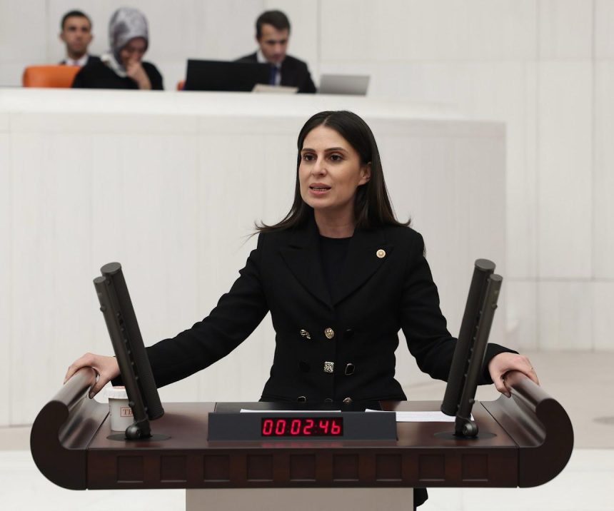 Gizem Özcan arıcılık, gizem özcan arıcılık kanun, özcan arıcılık kanun teklifi, chp'li gizem özcan'dan, gizem özcan,