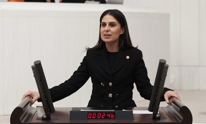 CHP Muğla Milletvekili Gizem Özcan 23 nisan çocuk bayramı CHP Muğla Milletvekili Gizem Özcan 23 nisan açıklaması çocuk işçiliği