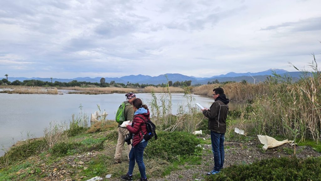 fethiye su kuşu fethiye kuş sayımı Kış Ortası Su Kuşu Sayımları fethiye kent konseyi