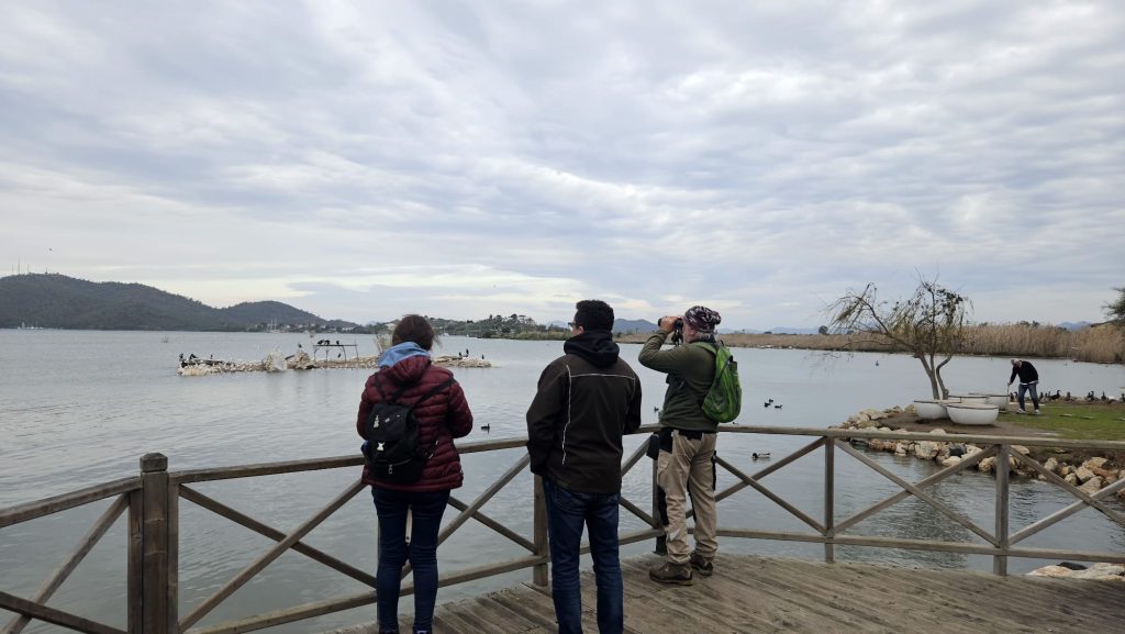 fethiye su kuşu fethiye kuş sayımı Kış Ortası Su Kuşu Sayımları fethiye kent konseyi