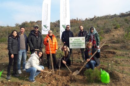 pınar gültekin hatıra ormanı, pınar gültekin davası