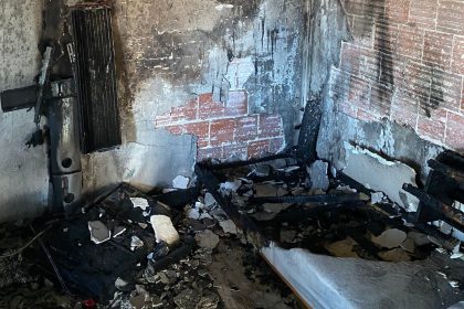 bodrum'da çıkan ev yangını, bodrum yangında yaralanan kedi