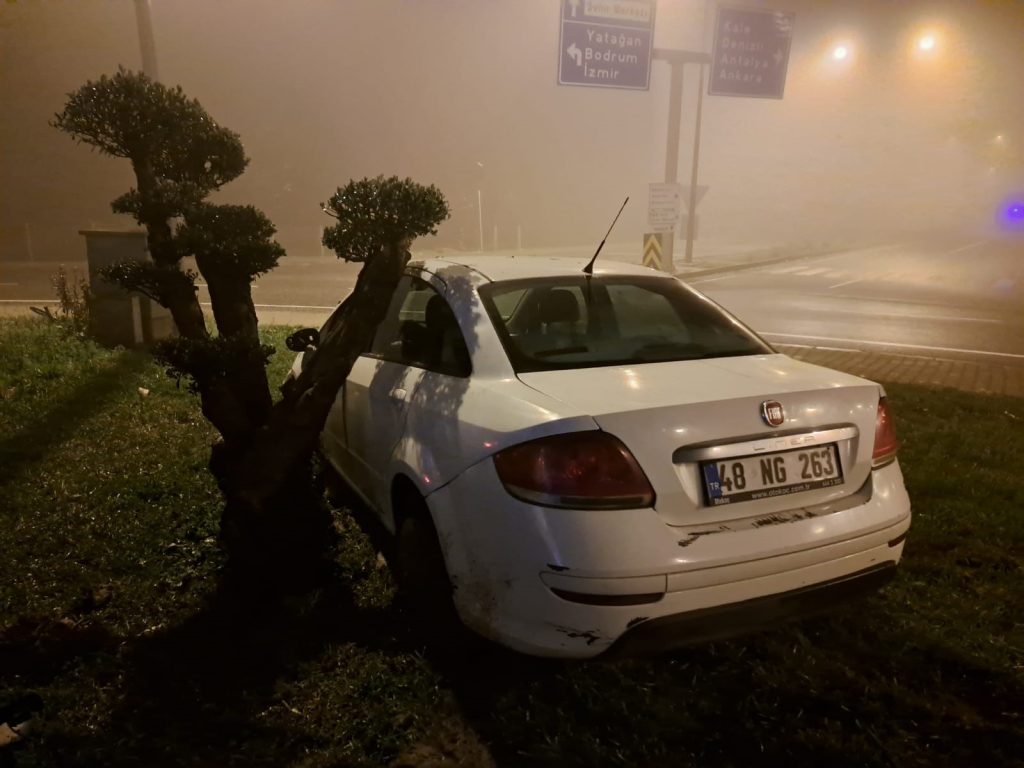 menteşe'de sis, menteşe kaza, menteşe trafik kazası, menteşe ilçesinde trafik kazası