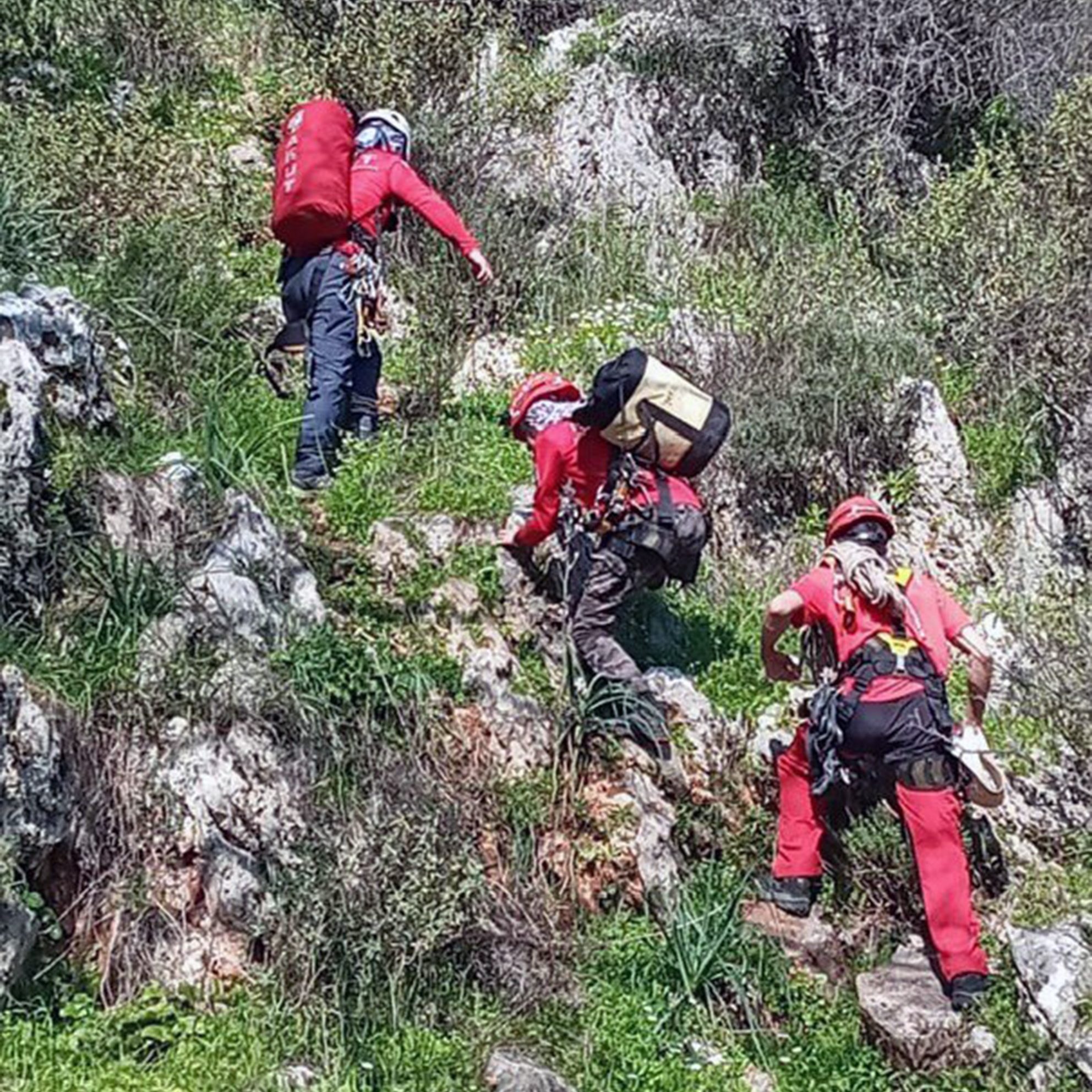 fethiye mahsur kalan keçi ve yavurusu