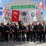 Milas'ta Bafa zeytinyağı üretim, Bafa zeytinyağı üretim tesisi, Bafa Doğal Yaşam Tarımsal Üretim ve Pazarlama Kooperatifi, Muğla Büyükşehir Belediyesi