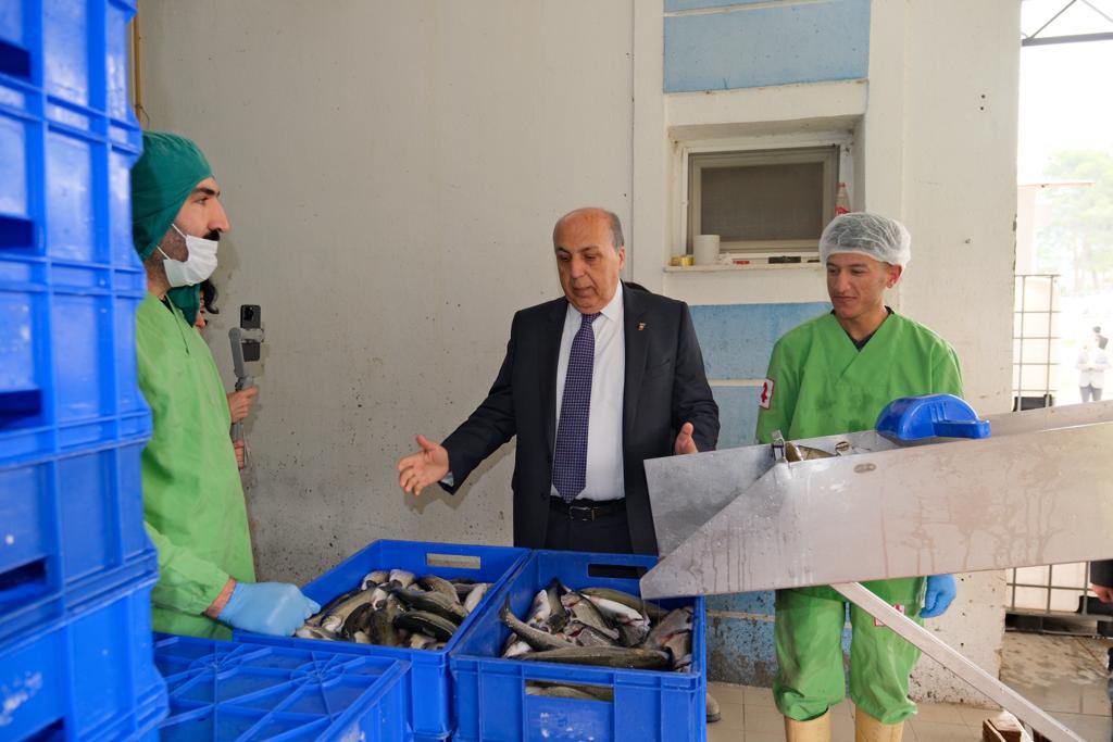 aydın ayaydın seydikemer ören alabalık depolama tesisi