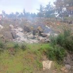 Bodrum'da 20 şüpheli, Bodrum hazine arazisindeki ağaçları