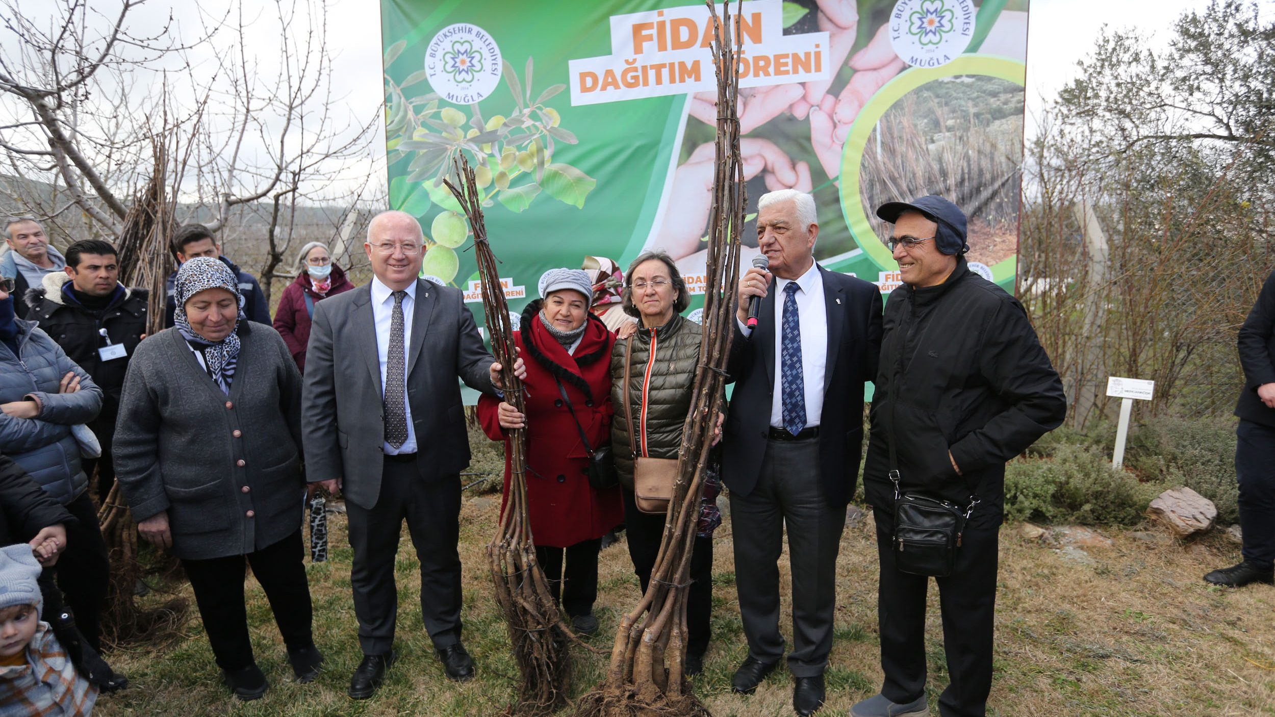 muğla meyve fidanı desteği, muğla fidan, Muğla meyve fidanı dağıtımı, Büyükşehir meyve fidanı desteğinin, Muğla meyve fidanı dağıtımının