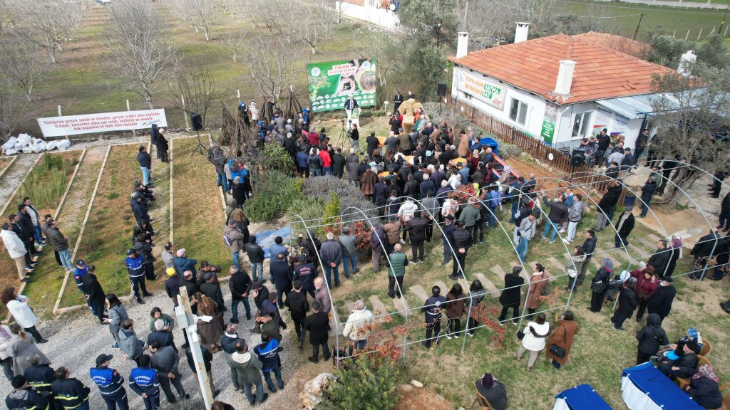 muğla meyve fidanı desteği, muğla fidan, Muğla meyve fidanı dağıtımı, Büyükşehir meyve fidanı desteğinin, Muğla meyve fidanı dağıtımının