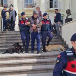Bodrum'da köpekle kediyi zehirleyen, Bodrum köpekle kediyi zehirleyen