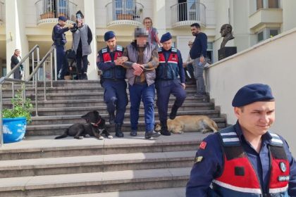 Bodrum'da köpekle kediyi zehirleyen, Bodrum köpekle kediyi zehirleyen