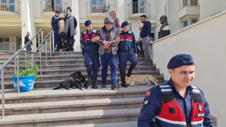 Bodrum'da köpekle kediyi zehirleyen, Bodrum köpekle kediyi zehirleyen