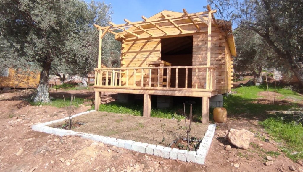 Bodrum'da kaçak yapılara, Bodrum hazine arazisine yapılan,