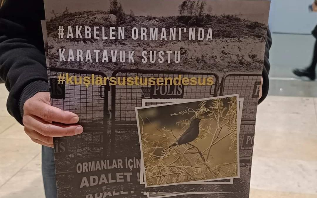 Limak filarmoni orkestrası protesto akbelen