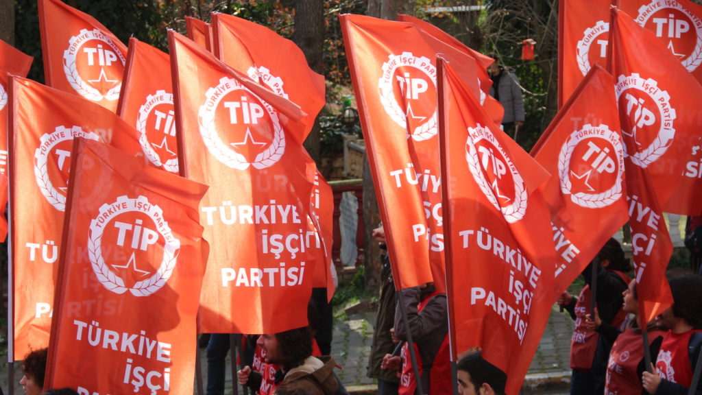 TİP’in Bodrum Belediye adayı, TİP Bodrum Adayı, yerel seçimler