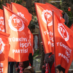 TİP’in Bodrum Belediye adayı, TİP Bodrum Adayı, yerel seçimler