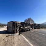 milas tır devrildi, milas trafik kazası, milas kaza, milas tır kazası, milas şenköy mahallesi kaza, Milas'ta balık taşıyan tırın, Muğla'nın Milas ilçesinde,