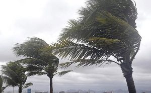 Meteoroloji’den Muğla ve çevreleri, Meteoroloji, Muğla ve çevreleri için
