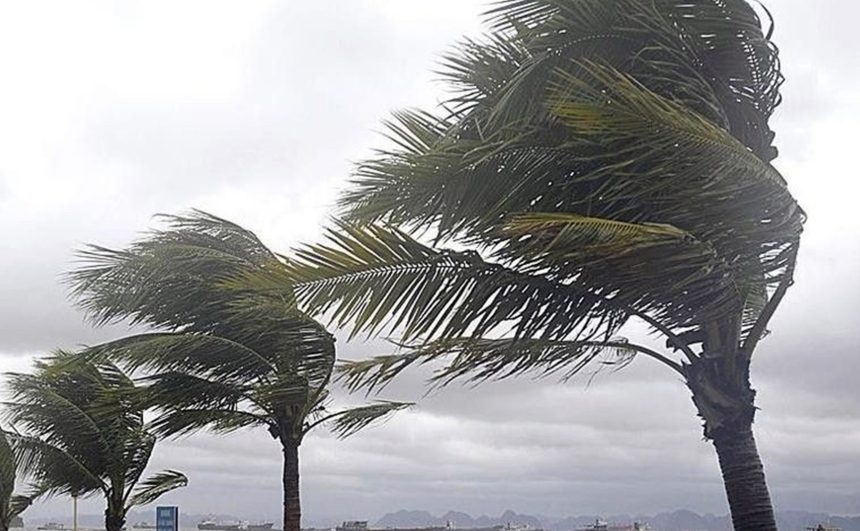 Meteoroloji’den Muğla ve çevreleri, Meteoroloji, Muğla ve çevreleri için