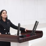 CHP’li Gizem Özcan’dan Datça’daki, Datça’daki basın açıklaması yasağı, Datça’da basın açıklaması yapılmasının yasaklanmasıyla