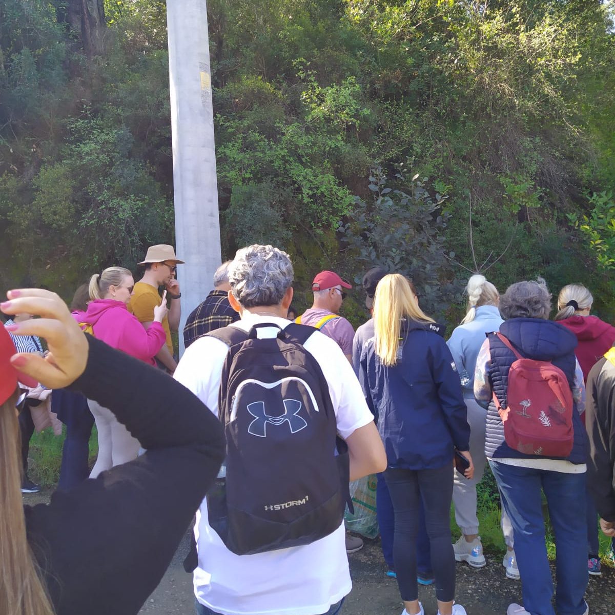 Göcek Ot Yemekleri Festivali,