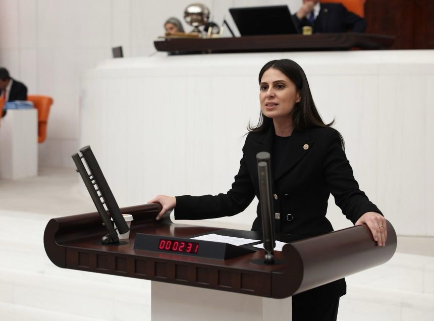 Gizem Özcan marmaris adaköy soru önergesi