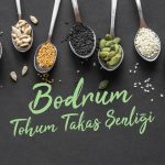 Bodrum'da Tohum Takas Şenliği,